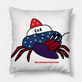 USA Chuck Pillow