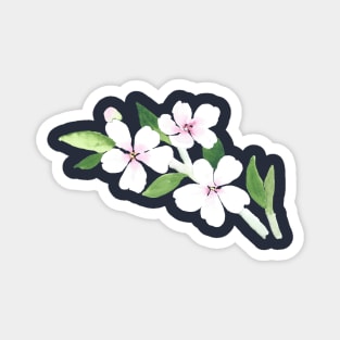 Almond Blooms Magnet