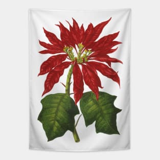 Vintage Christmas Poinsettia Plant Tapestry