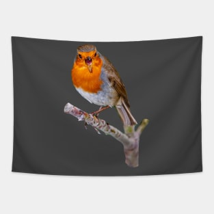 Robin red-breast singing for his supper Tapestry