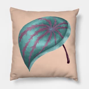 Peperomia Watermelon Pillow