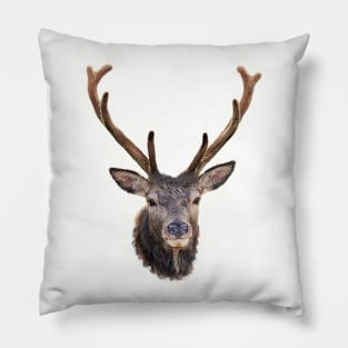 The Stags Head Pillow