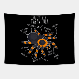 Tarantula Anatomy Tapestry