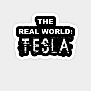 The Real World: Tesla Magnet