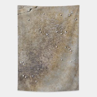 Grunge rocky surface Tapestry