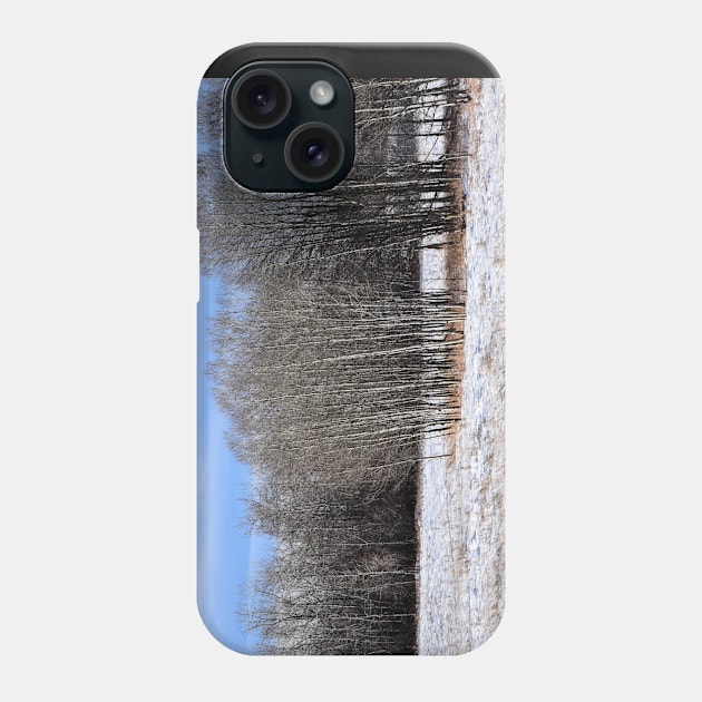 Winter scene from the trail Phone Case by CanadianWild418