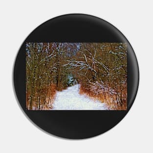 A Winter's Walk-Art Prints-Mugs,Cases,Duvets,T Shirts,Stickers,etc Pin