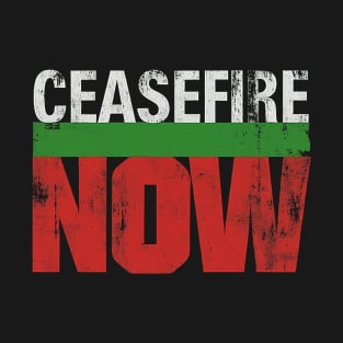 Powerful Ceasefire Now Advocacy Graphic T-Shirt