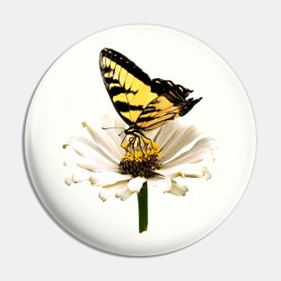 Tiger Swallowtail on White Zinnia Pin