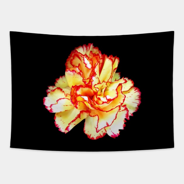 Carnations - Red-Tipped Yellow Carnation Closeup Tapestry by SusanSavad