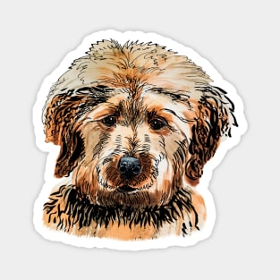 labradoodle portrait Magnet