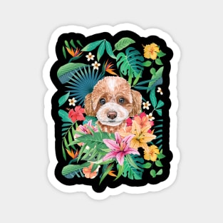 Tropical Red White Toy Poodle Magnet