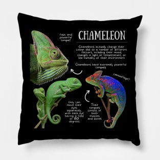 Animal Facts - Chameleon Pillow