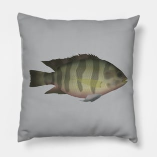 Redbelly Tilapia Pillow