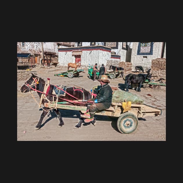 Farmer. Gyantse, Tibet. by bulljup