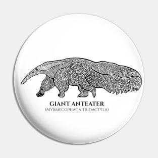 Giant Anteater with Common and Latin Names - animal on white Pin