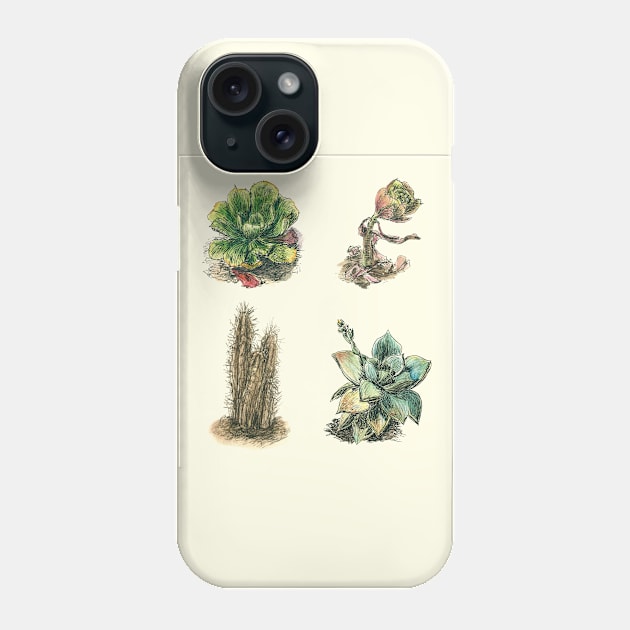 Succulents Cactus Home Garden Collection Phone Case by VeraAlmeida