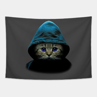 Cat sweatshirt Tapestry