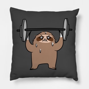 Sloth Lifting Barbell with Weights Pillow