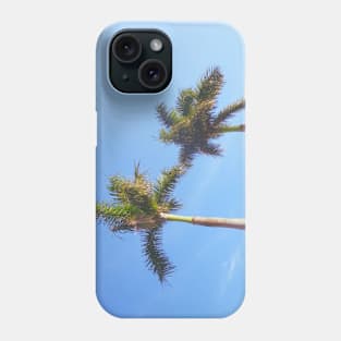 Palm tree in Florida Phone Case