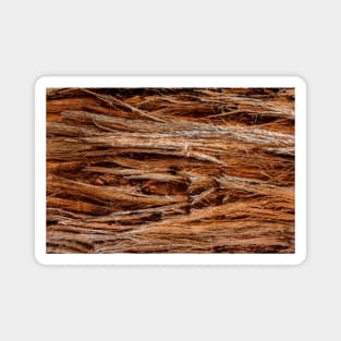 Stringy Bark Tree Texture Magnet