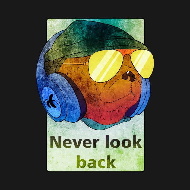 Never look back by vanpaul54