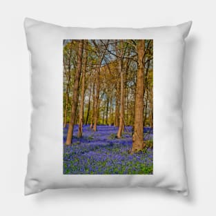 Bluebell Woods Greys Court Oxfordshire England Pillow