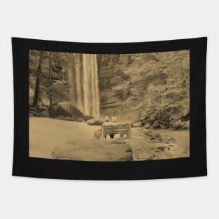 Vintage Newspaper Filtered Couple at Toccoa Falls Tapestry