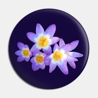 Spring Constellation Pin