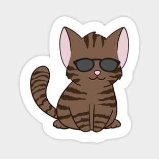 Brown Tabby Cat wearing Sunglasses Magnet