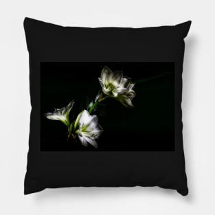 Amaryllis Flower In Full Bloom Pillow