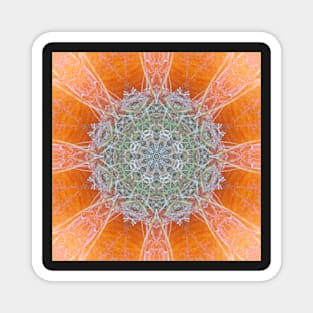 Kaleidoscope of colors Magnet