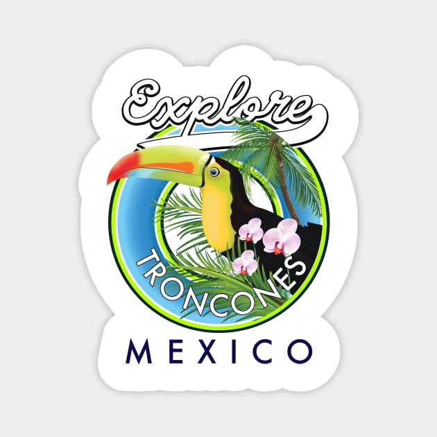 Explore Troncones Mexico retro logo Magnet by nickemporium1