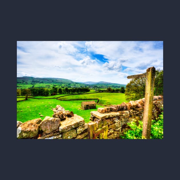 The Yorkshire Dales National Park Hawes Walk by tommysphotos