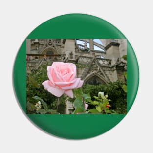 Paris Notre Dame de Paris Pink Rose Bush Pin