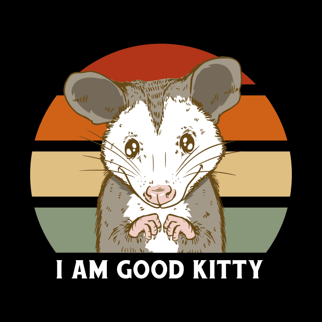 Im A Good Kitty Cute Opossum by Visual Vibes