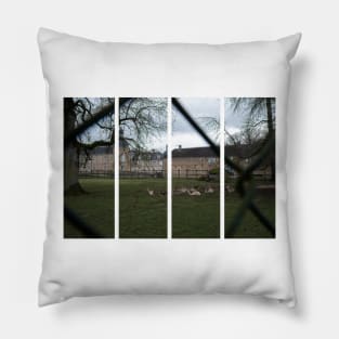 The castle of Pierre-de-Bresse is a 17th-century castle in the Bourgogne-Franche-Comte. Cloudy winter day Pillow