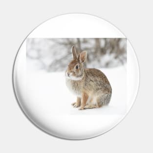 Eastern Cottontail bunny Pin