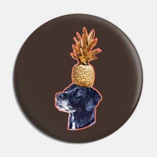 Labrador balancing a pineapple Pin