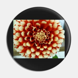 Dahlia #2 Pin