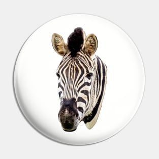 Zebra Head Pin