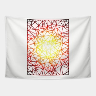 Gradient Color Mesh Tapestry