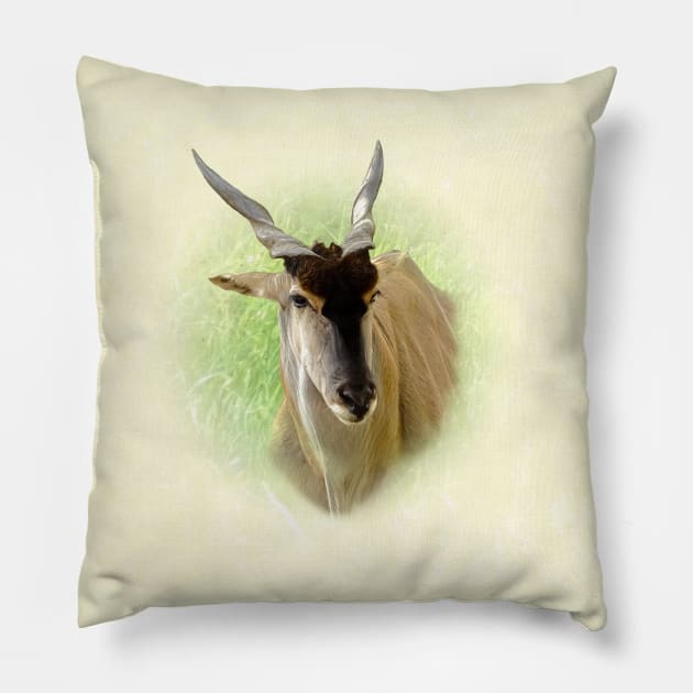 Eland antelope Pillow by Guardi