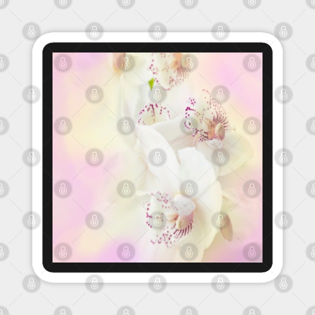 Pinkish orchids Magnet by CreaKat