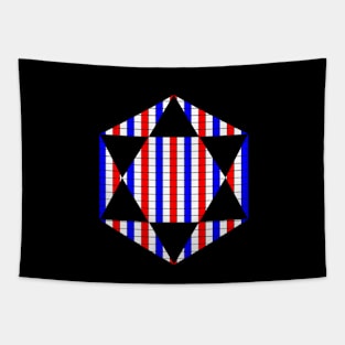 USA colored star Tapestry