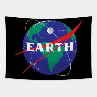 NASA Earth Tapestry