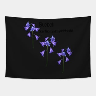 Bluebell (Scientific name Hyacinthoides) Tapestry