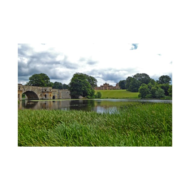 Grounds of Blenheim Palace Woodstock England UK by AndyEvansPhotos