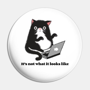 It's not what it looks like funny cat Pin