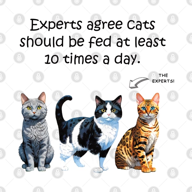 Experts agree cats should be fed at least 10 times a day - funny watercolour cat design by DawnDesignsWordArt